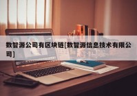 数智源公司有区块链[数智源信息技术有限公司]